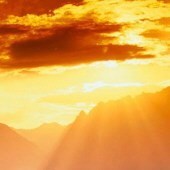 Obituary of Donald Dewey Munson