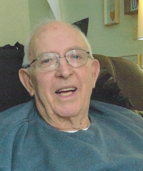 Obituary of David A. Stepic