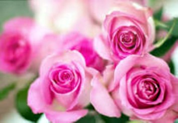 Obituario de Shirley Ann (Boshears) Hillenburg