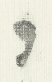 Obituary of Ellie Mae Price