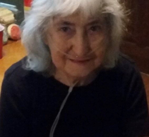 Obituary of Mrs. Julia Elgin