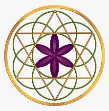 Obituary of Jeanette Freilich