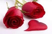 Obituary of Rose B. Lagar