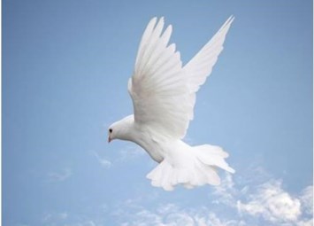 Obituary of John Bernard Townsend