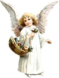 Obituary of Antoinette C. Koljevina