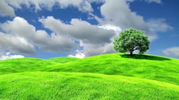 Obituary of William Edward Hunt