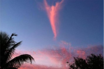 Obituary of Jacqueline Evelyn BUTLER