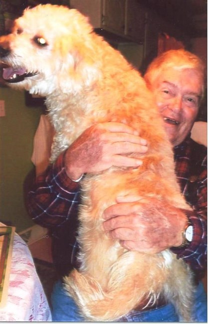 Obituary of Donald Tressler Kutz