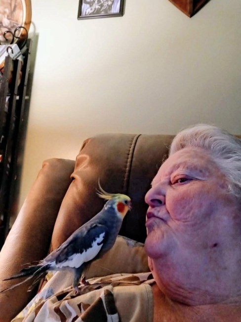 Obituary of Brenda Raye Ranta