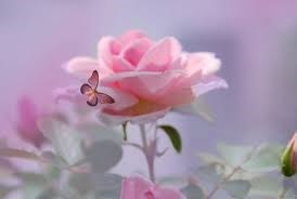 Obituary of Irma P. Nichols