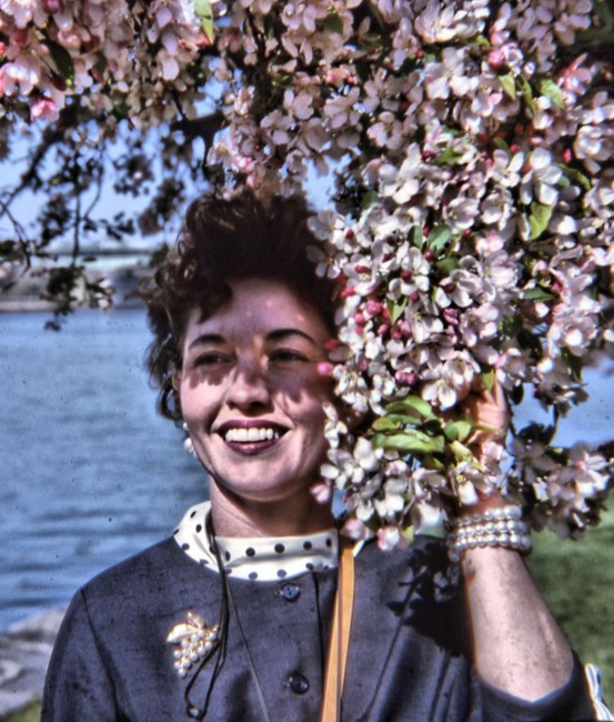 Obituary of Betty S. Collins