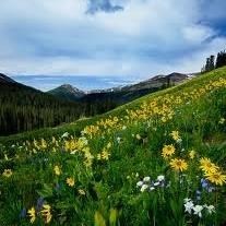 Obituario de William James Geary