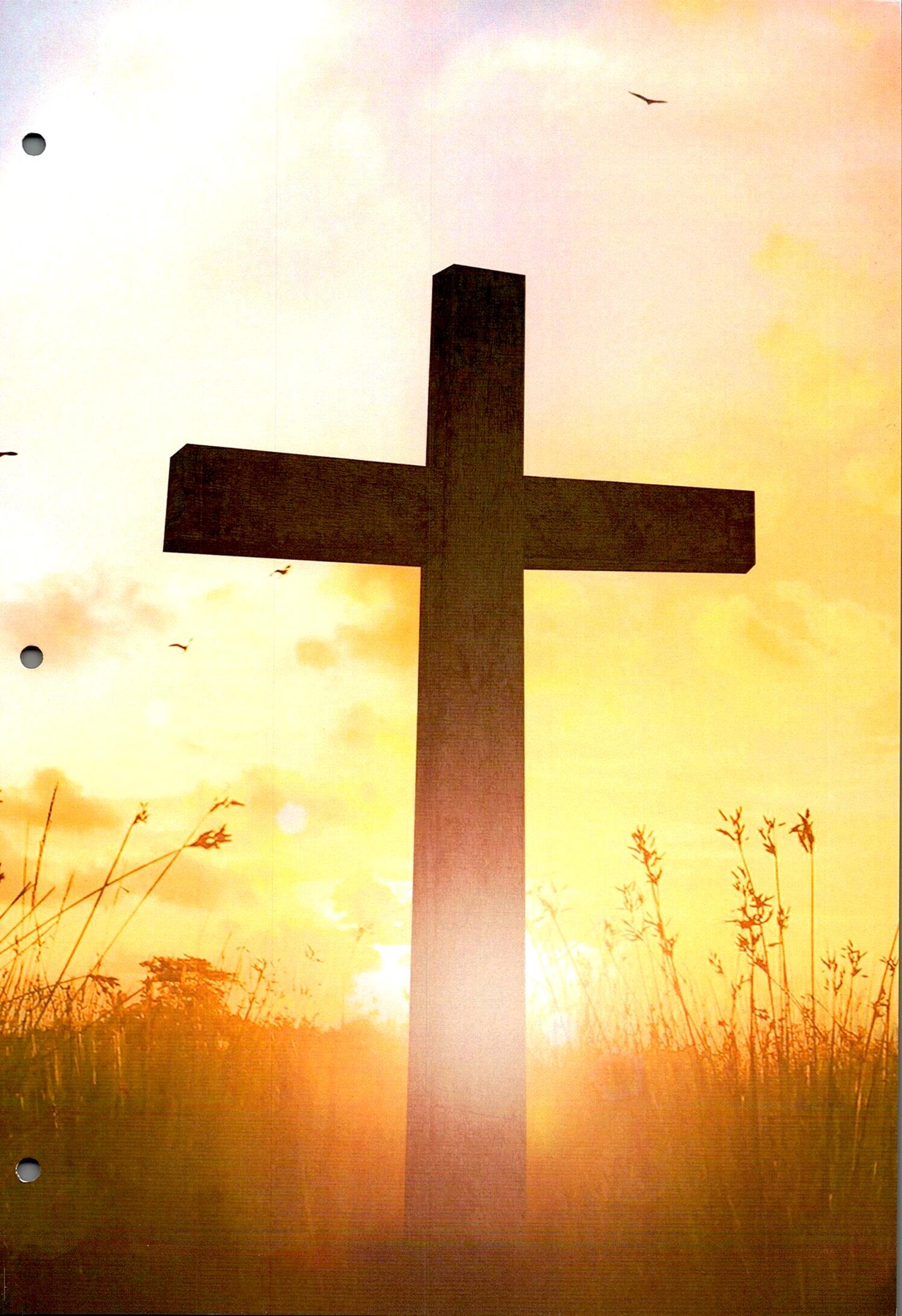 Obituary of Frank Neal Draper