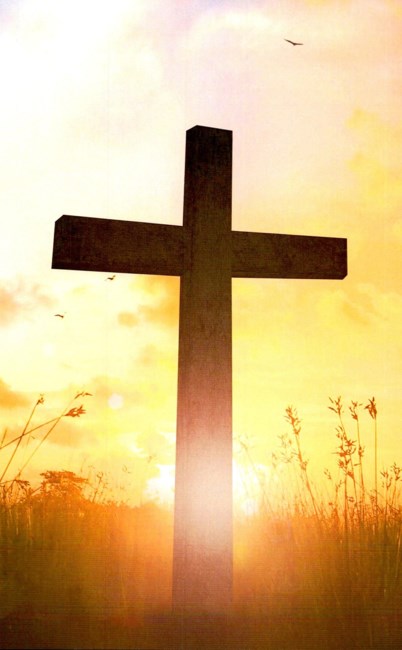 Obituary of Frank Neal Draper