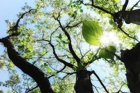 Obituary of Kathleen Marie Baxter