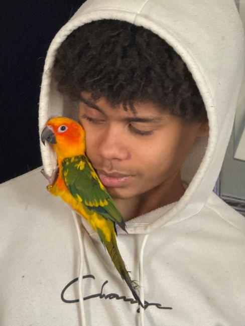 Obituary of Jerry Powell Hohler