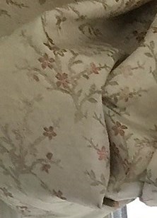 Alice Asher Obituary - Hawthorne, NY