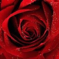 Obituary of Elizabeth A. Copenhaver