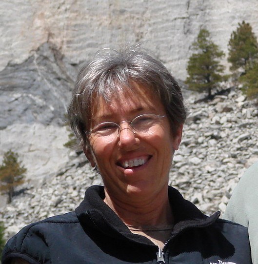 Obituary of Laraine Ann Nasif