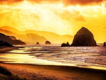 Obituary of Fred Lawrence Mull Jr.