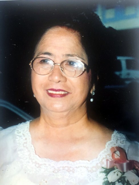 Obituary of Amanda Ilan Santos