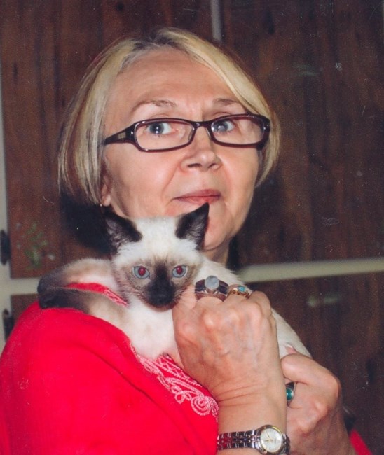 Obituary of Chris Louise Cox