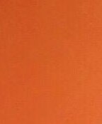 patricia johnson tampa fl