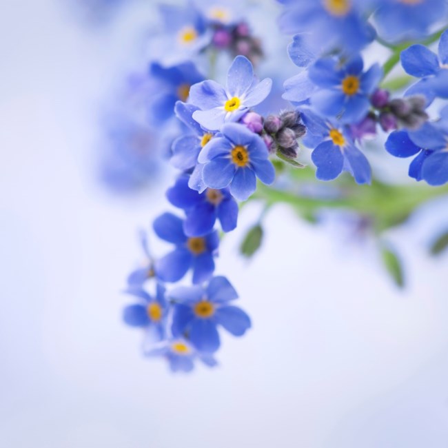 Obituario de Nancy J. Marti