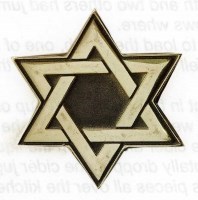 Obituary of Roslyn Stein