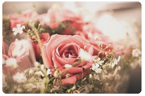 Obituary of Nell Moody Annie Nell Moody Bryant