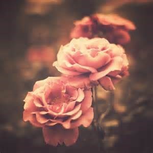 Obituary of Mrs. Mary Nell Greer