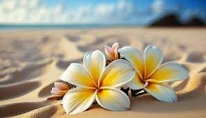 Obituary of Margaret Perez Salgado