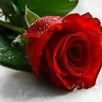 Obituary of Dorothy Annie Laura Evans