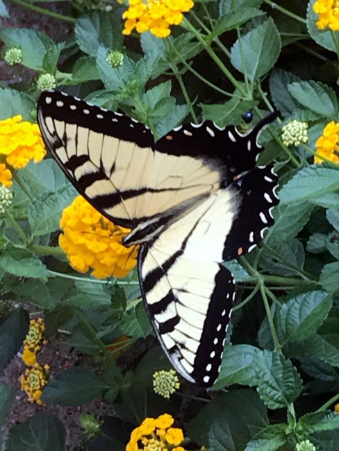 Obituary of Bettye Lou Garrett