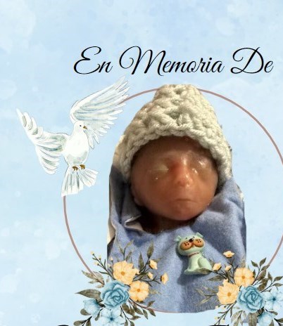 Alejandro Ruelas Obituary - Oxnard, CA