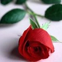 Obituary of Todd Alan Bray