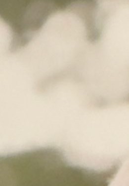 Kerry Rutherford Obituary - Pelham, AL