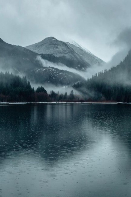 Obituary of Alex R. Matthews II