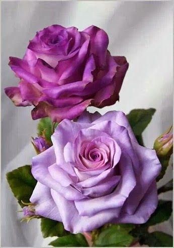 Avis de décès de Vonzell Aaron Page