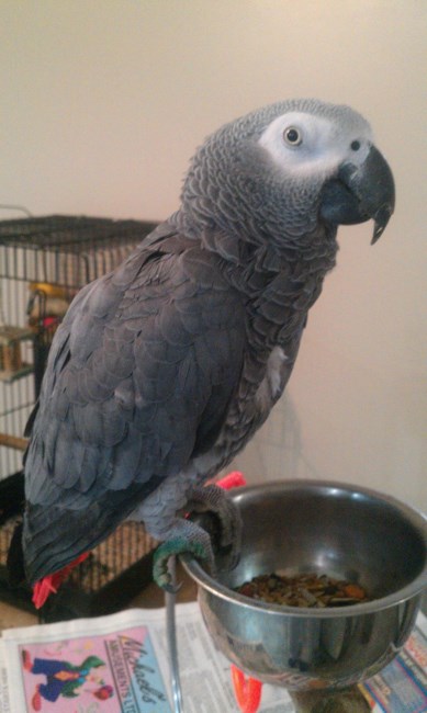 Obituary of Paul Beck