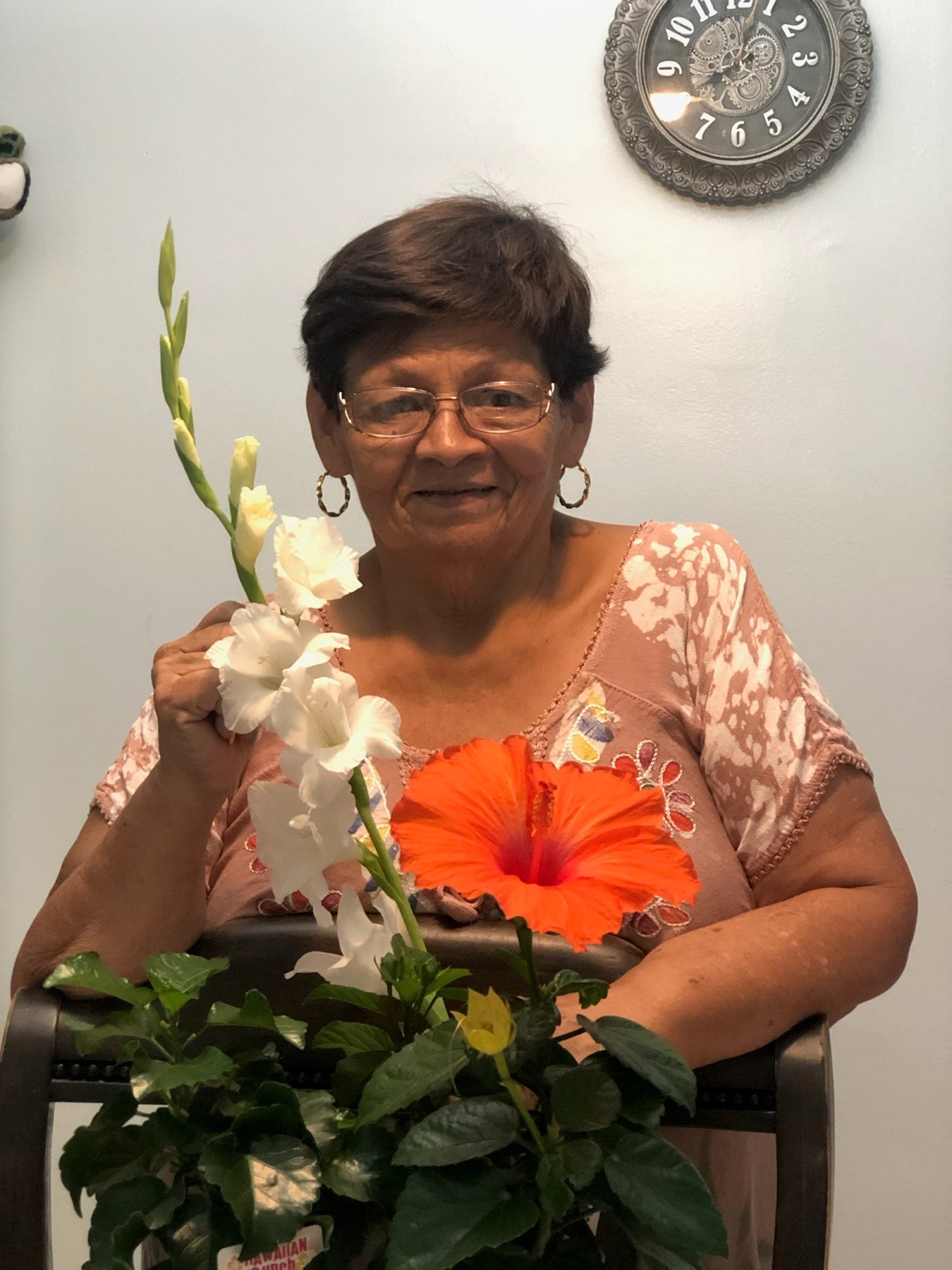 Rosario Cruz Obituary Queens Village, NY