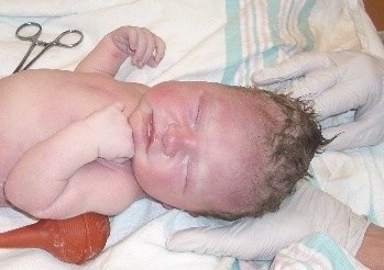 Obituary of Adalyne Grace Randall