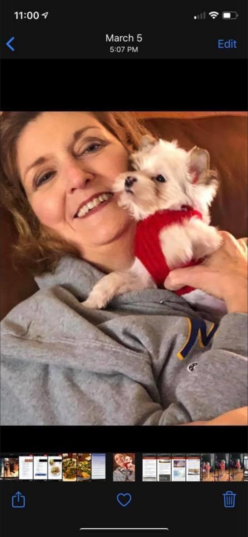 Obituary of Donna Ann Kline