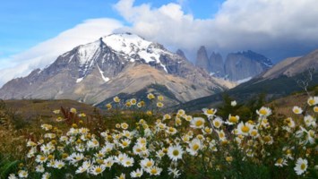 Obituary of Jianmin Liu