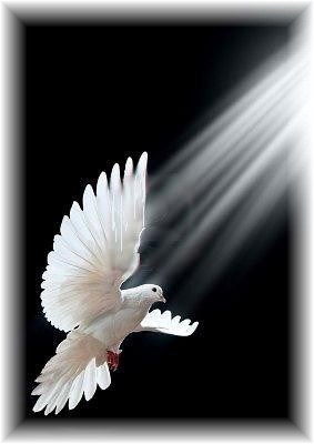 Avis de décès de John Phillip Underwood