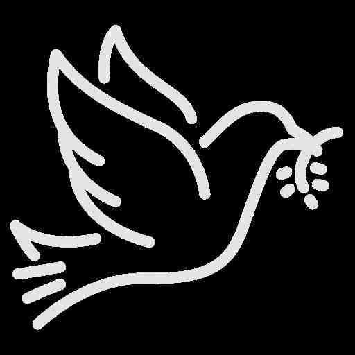 Obituary of Jonathan Ayala Ambrosio