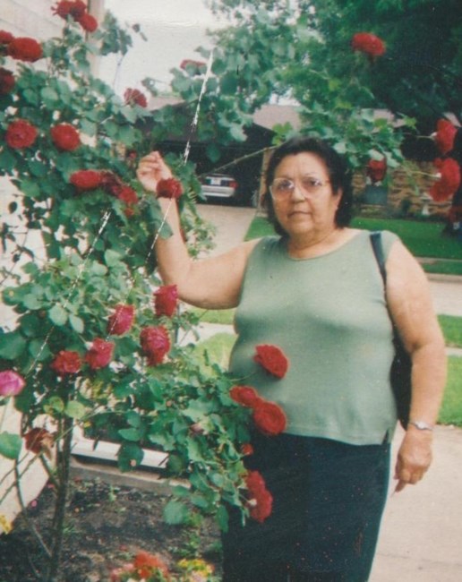 Obituary of Olivia Gonzalez