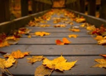 Obituary of Cary D. Simpson