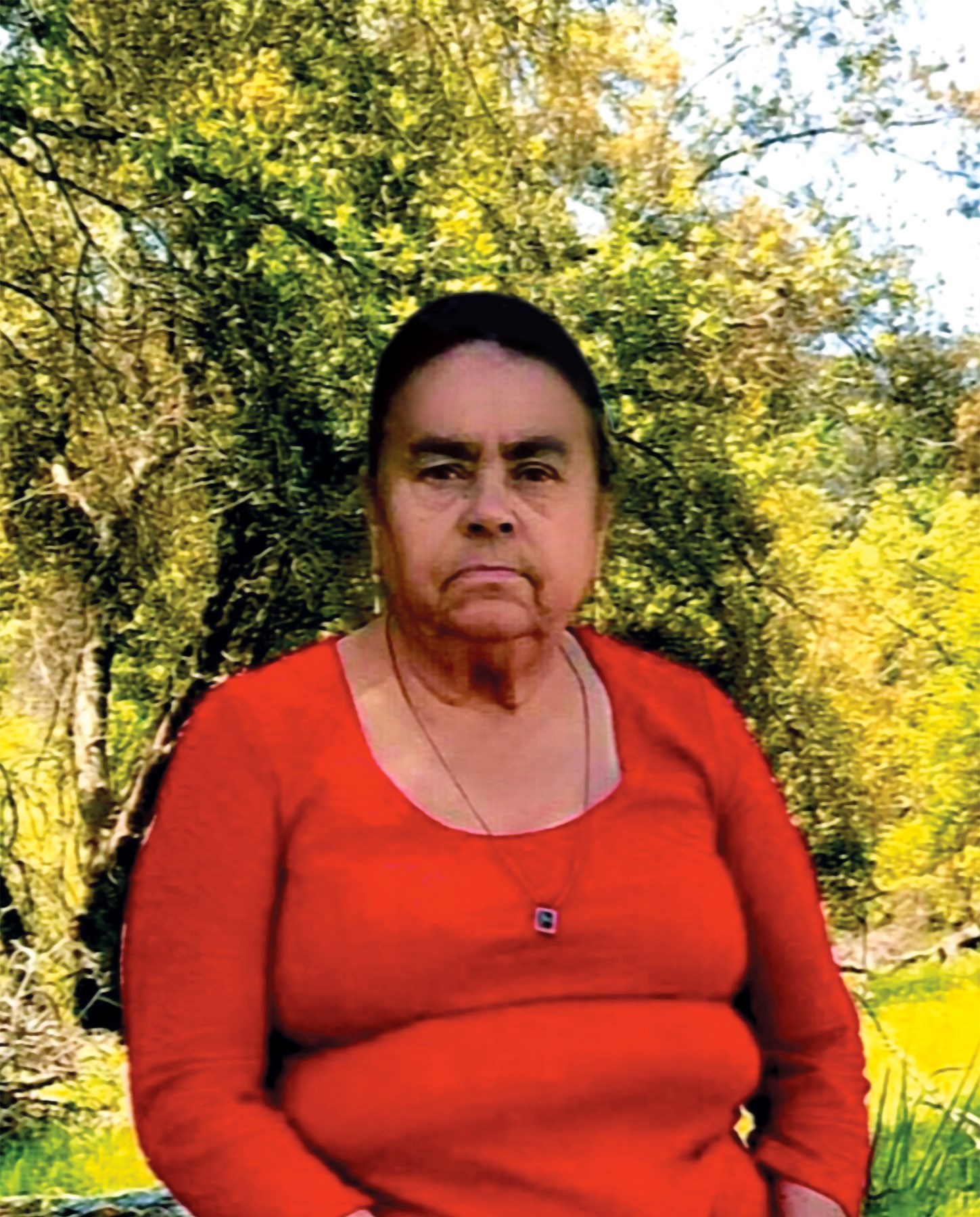 Felicitas Gonzalez De Reyes Obituary Delano, CA