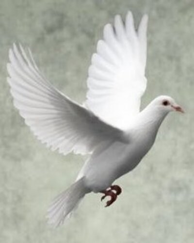 Obituario de Susan Jones